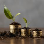 Innovation accounting and portfolio management.