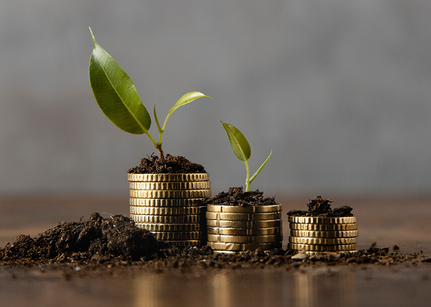 Innovation accounting and portfolio management.
